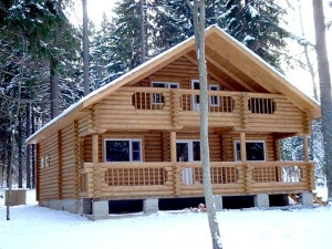 Деревянные дома – свойства пород древесины